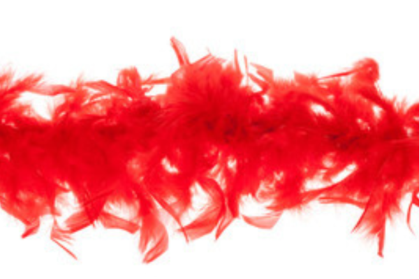 Feather Boa